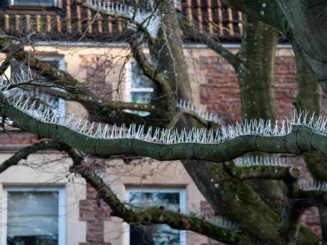 Picdump 206 - #45 