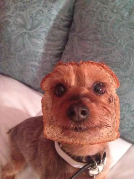 Picdump 206 - #8 