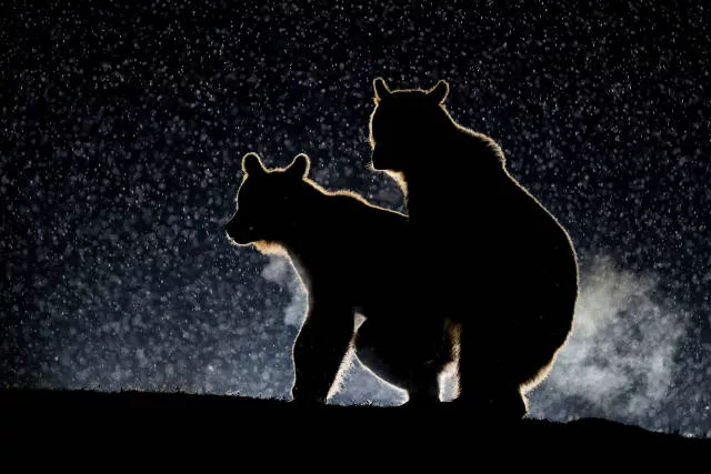 The hidden humor of nature - #12 