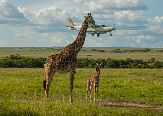 The hidden humor of nature - #17 