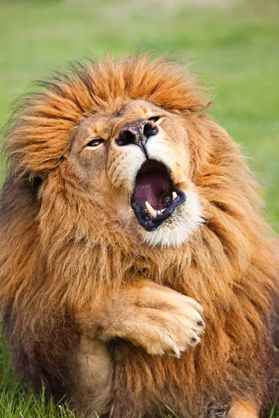 The hidden humor of nature - #18 