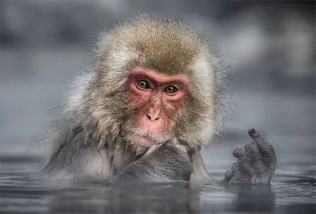 The hidden humor of nature - #22 