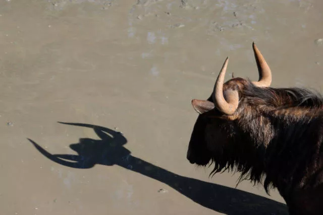 The hidden humor of nature - #27 