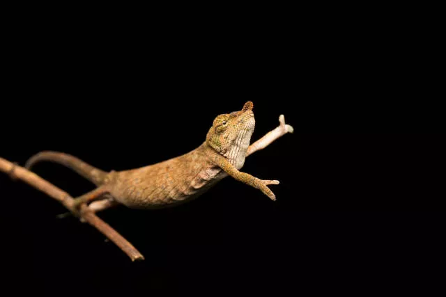 The hidden humor of nature - #30 