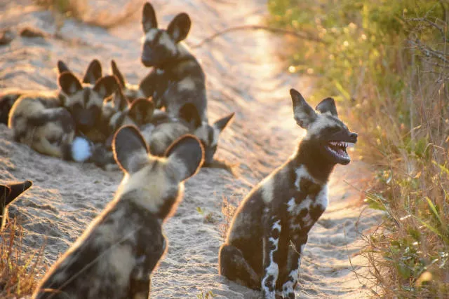 The hidden humor of nature - #39 