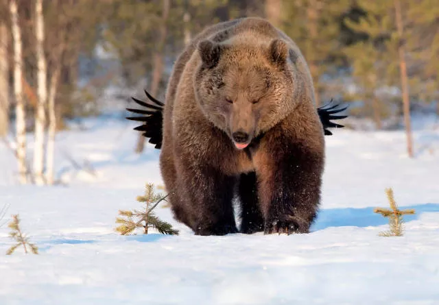 The hidden humor of nature - #40 