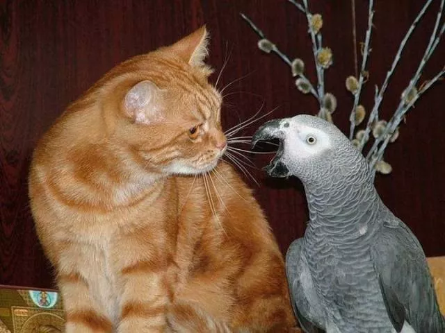 Picdump 207 - #11 