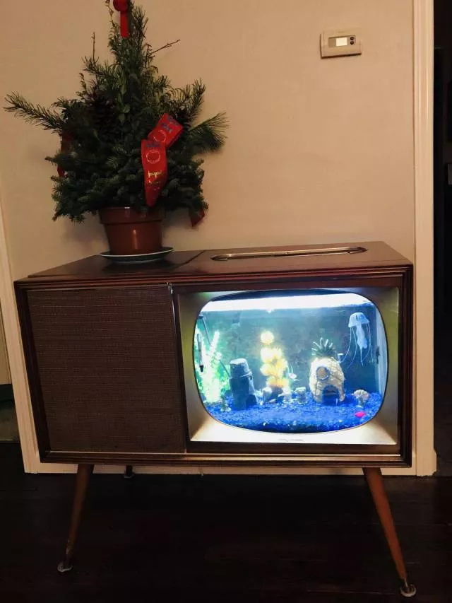 Picdump 207 - #32 