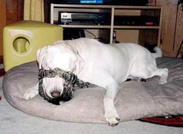 Picdump 207 - #57 