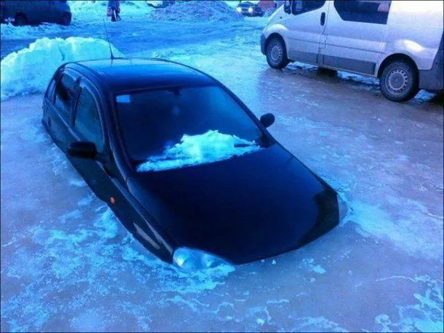 Picdump 207 - #64 