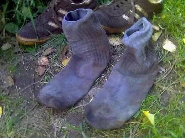 Picdump 207 - #66 