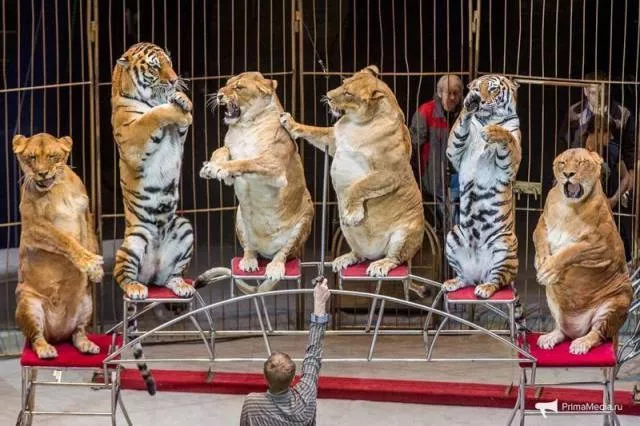 Picdump 207 - #68 