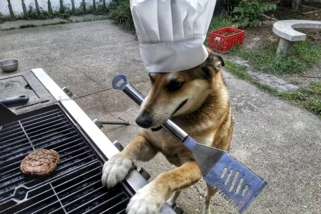 Picdump 207 - #70 