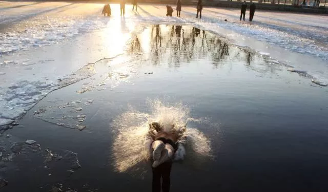 Picdump 207 - #75 