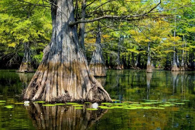 Around the world in amazing photos - #4 