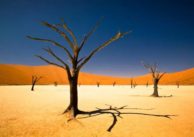 Around the world in amazing photos - #5 