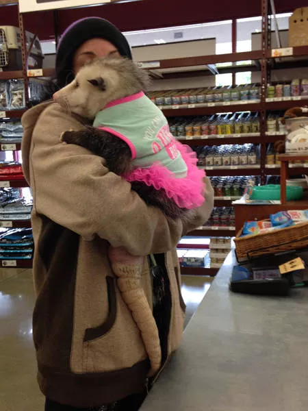 The weirdest pictures - #36 