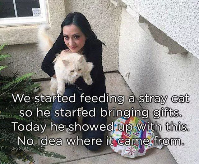 Pets who give gifts to their owners - #21 