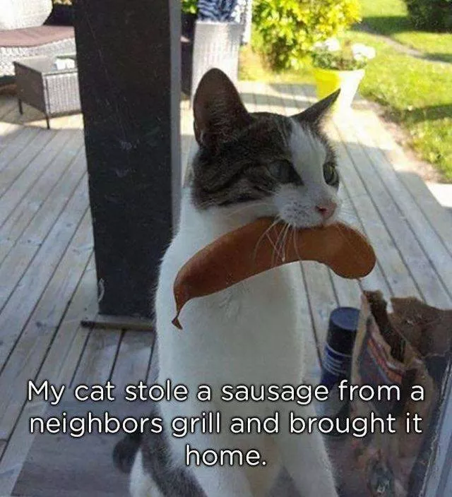 Pets who give gifts to their owners - #22 