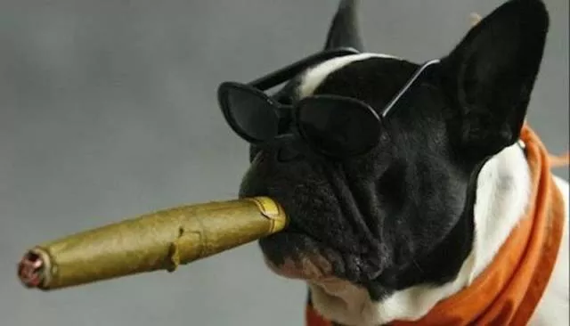 Picdump 209 - #10 