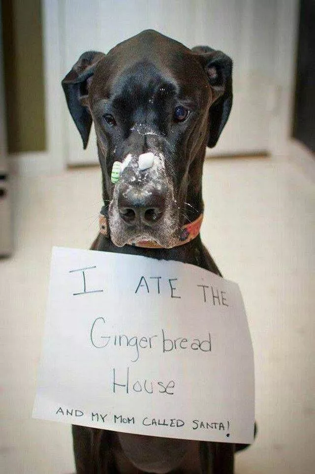 Picdump 209 - #30 