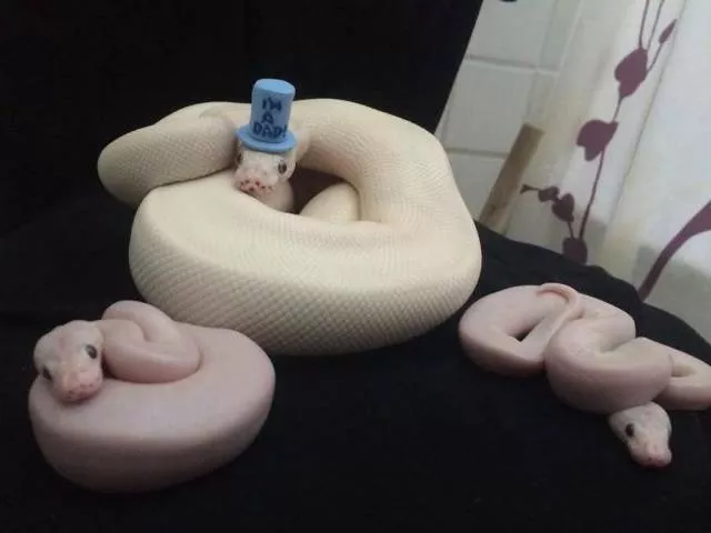 Picdump 209 - #43 
