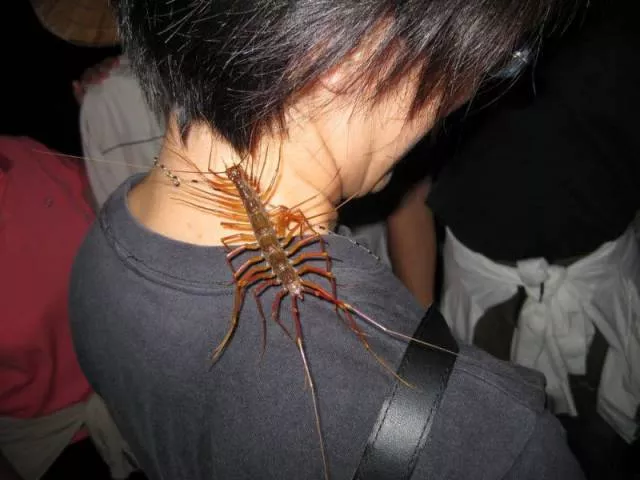Picdump 209 - #51 