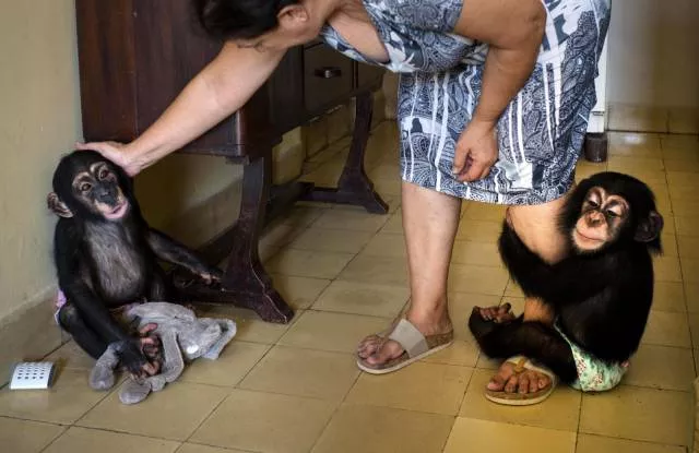 Picdump 209 - #60 