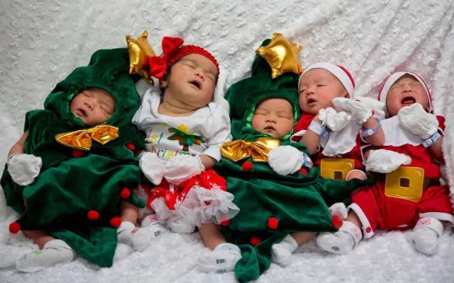 Picdump 210 - #12 