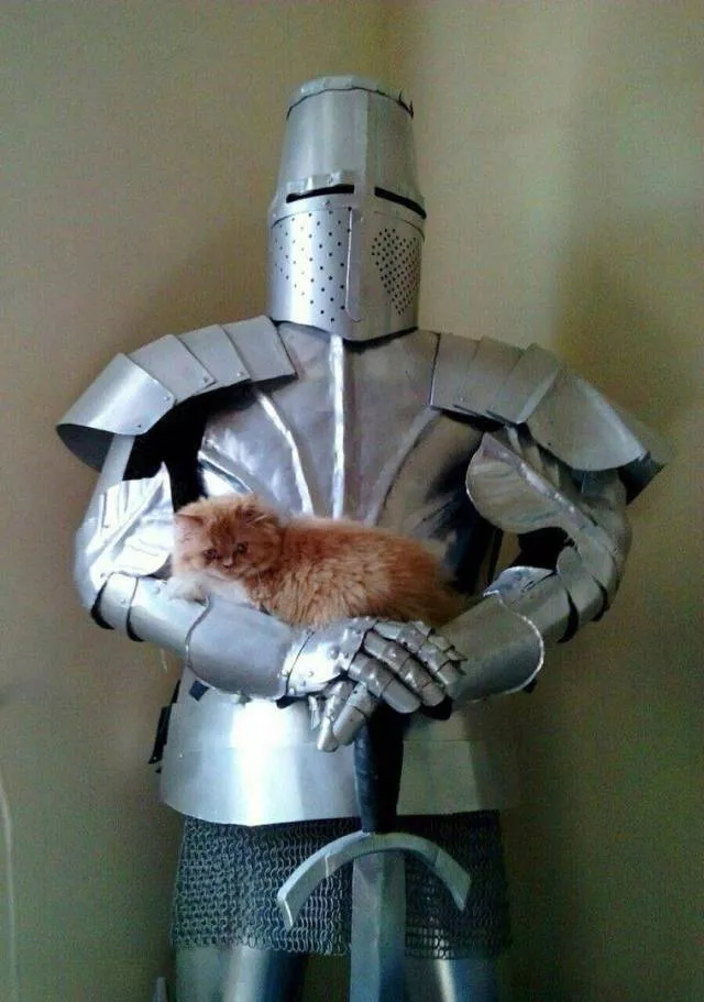 Picdump 210 - #25 