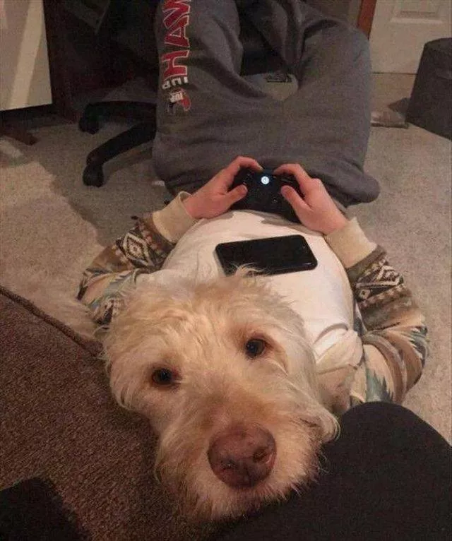 Picdump 210 - #47 