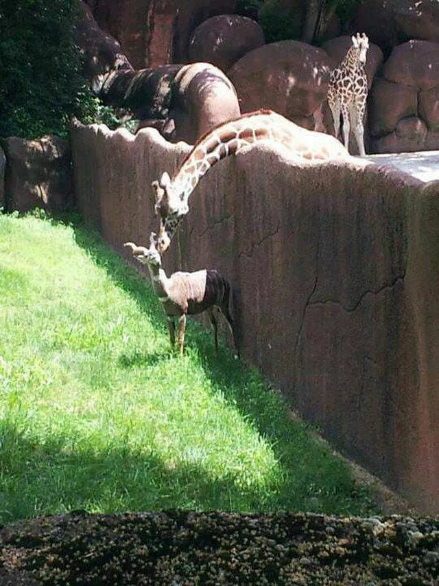 Picdump 210 - #72 