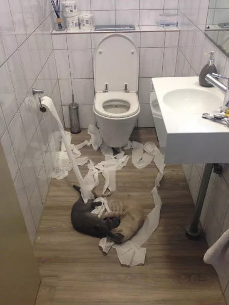 Picdump 46 - #27 