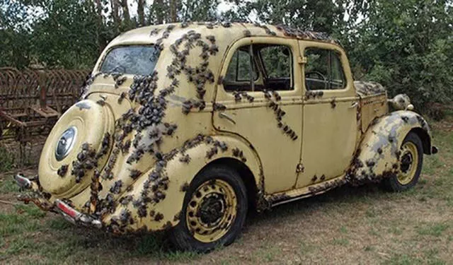 Picdump 46 - #39 