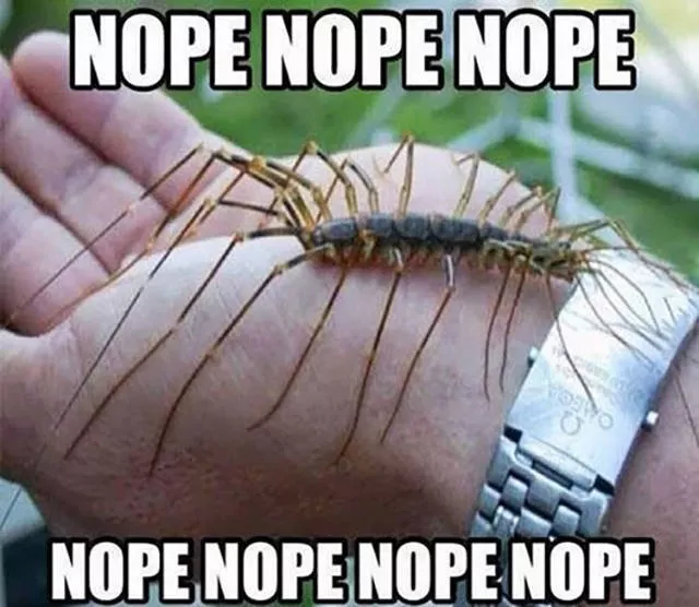 Picdump 46 - #41 