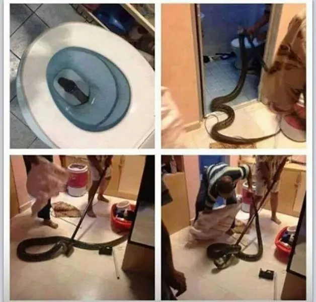 Picdump 46 - #42 