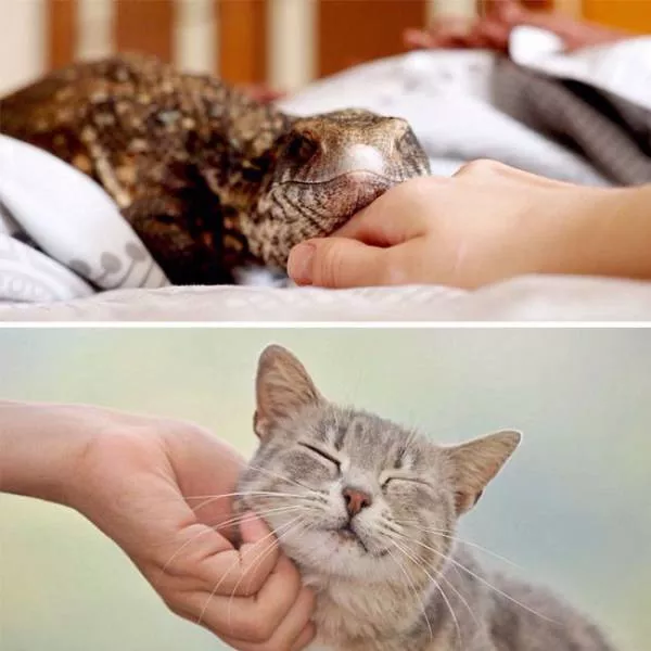 Picdump 46 - #63 
