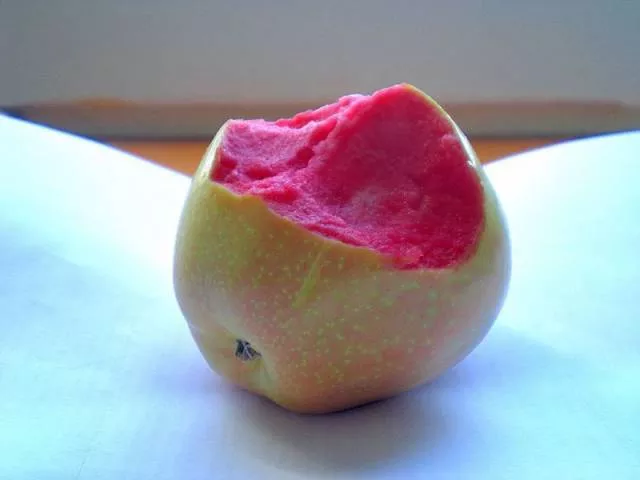 Picdump 46 - #7 