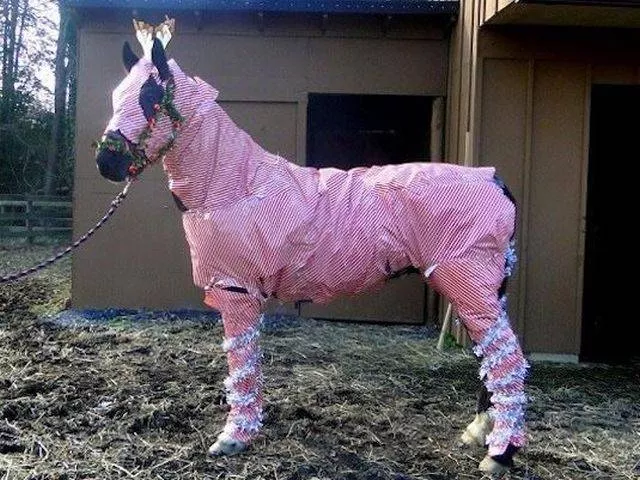 Picdump 211 - #4 
