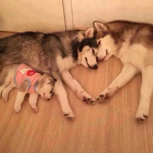 Picdump 211 - #41 