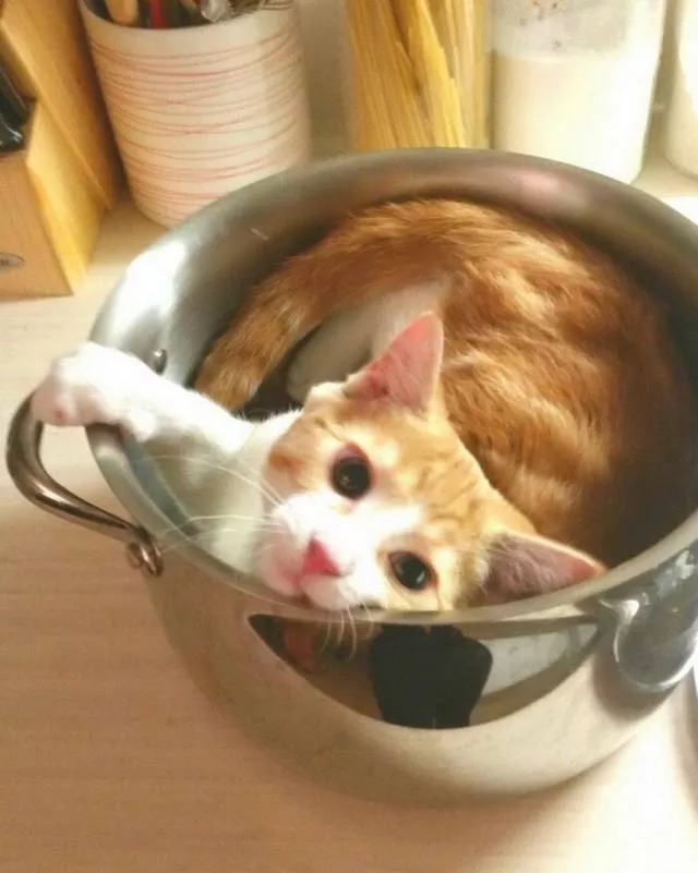 Picdump 212 - #57 