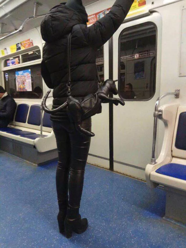 Picdump 212 - #65 