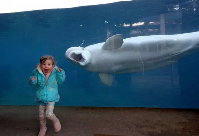 Photobomb - #25 
