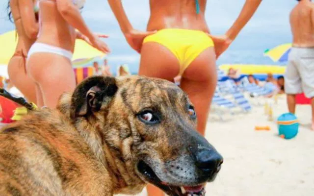 Photobomb - #26 