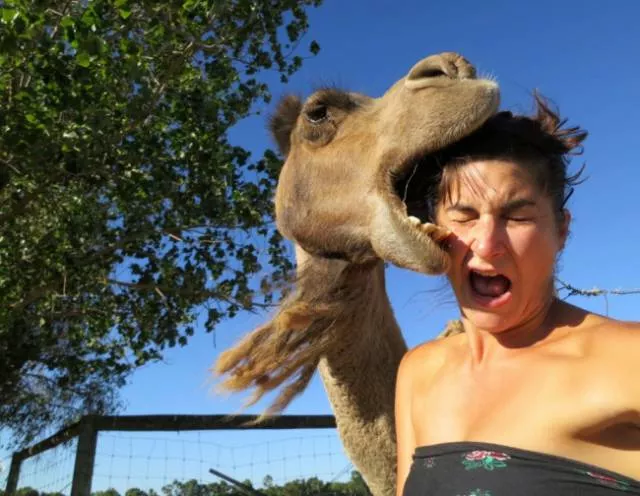 Photobomb - #27 