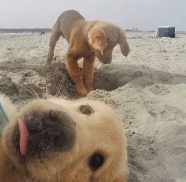 Photobomb - #3 
