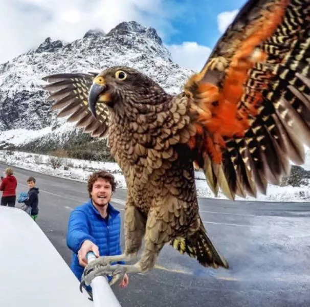 Photobomb - #5 