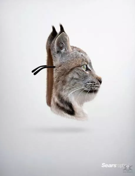 The most creative ads - #18 