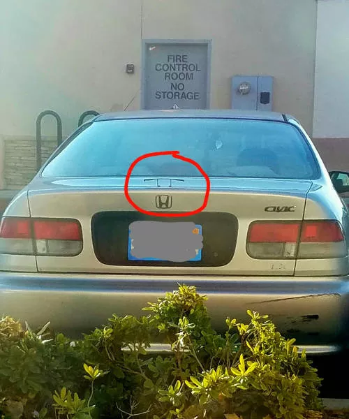 Picdump 213 - #16 