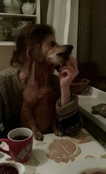 Look twice pictures - #1 